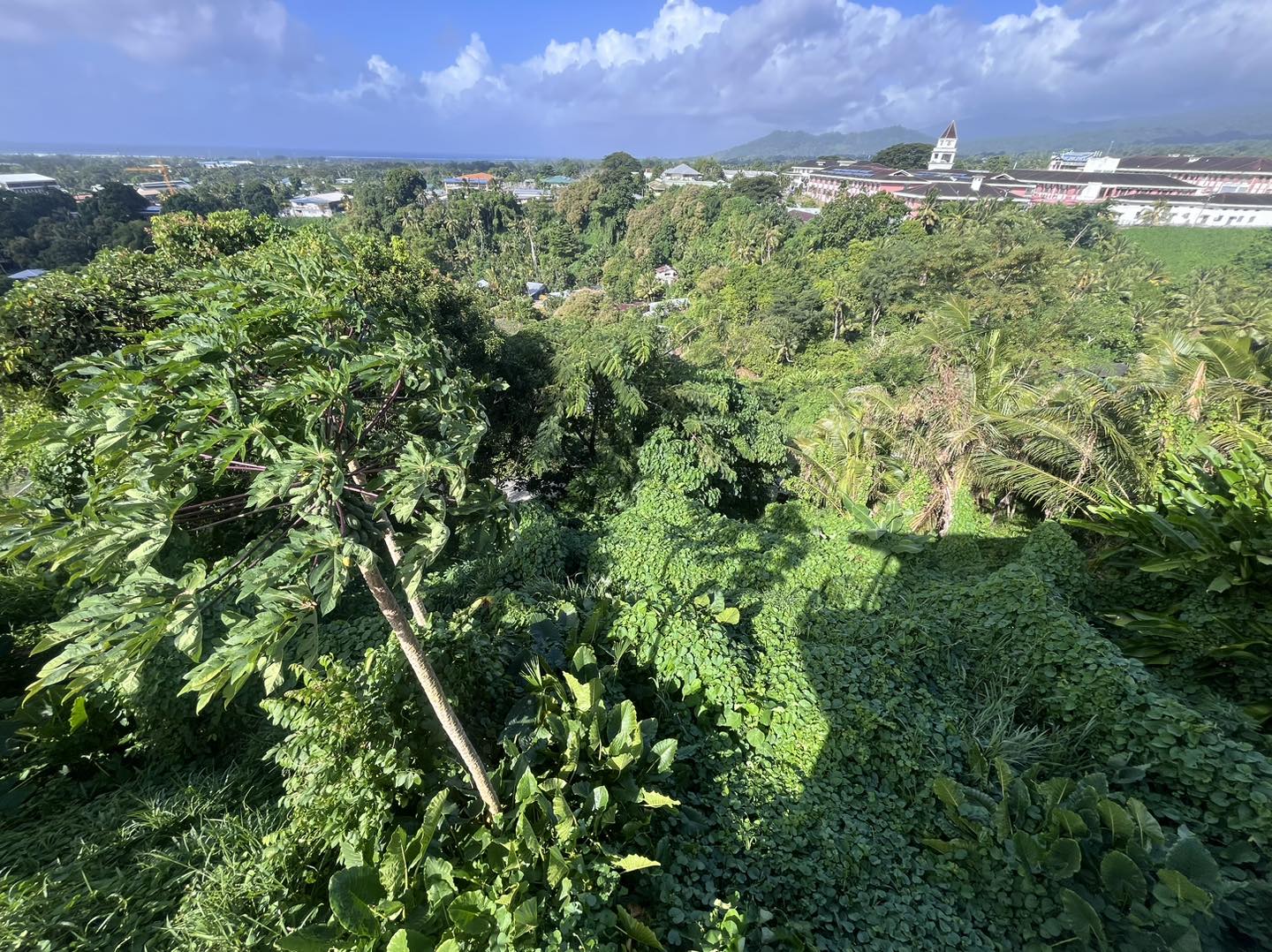 Samoa Real Real Estate Samoa